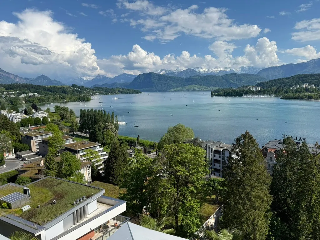 View over Lake Lucerne with the Alps in the distance